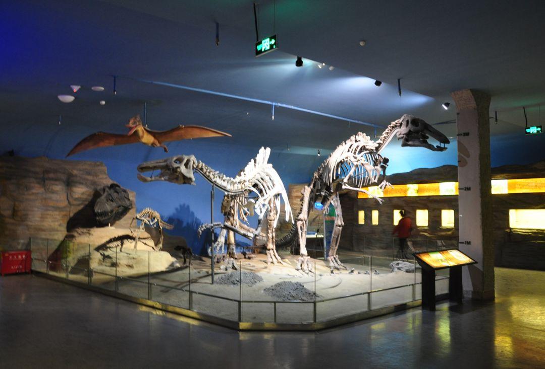 黑龙江智慧之光闪耀东北大地