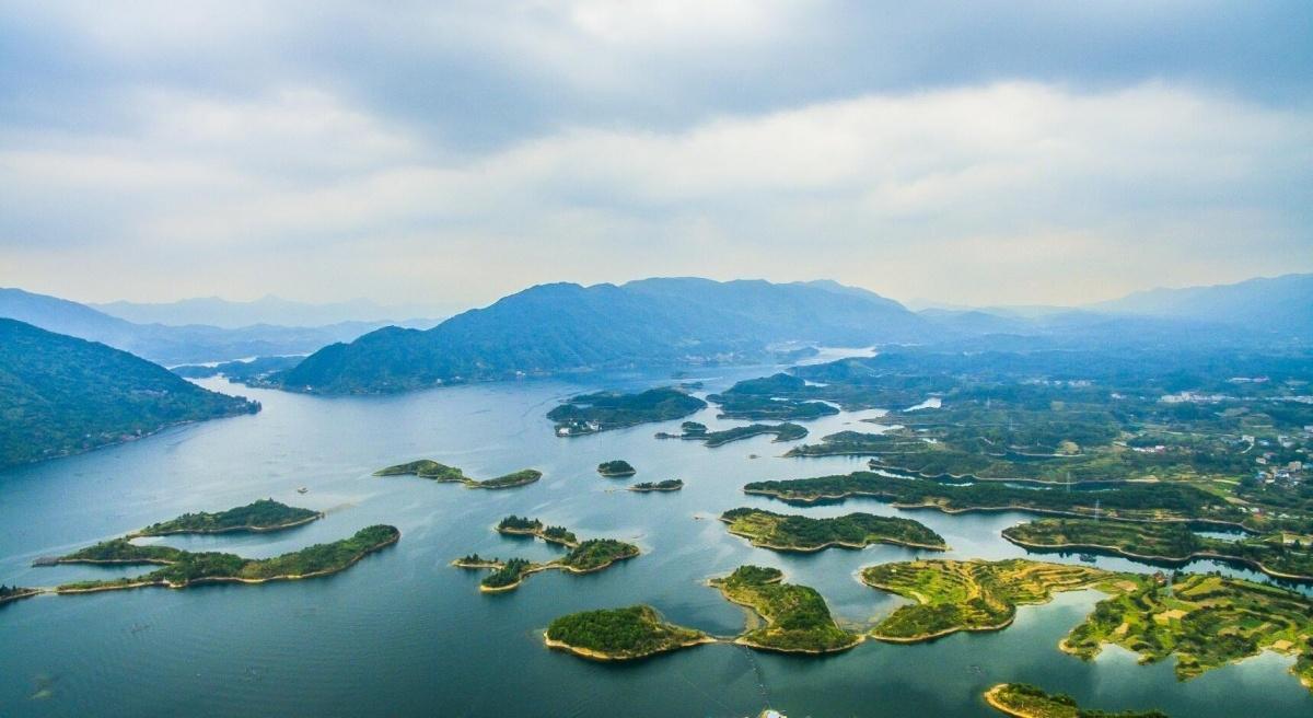 湖北初学者必看,某项任务/技能学习攻略全解析