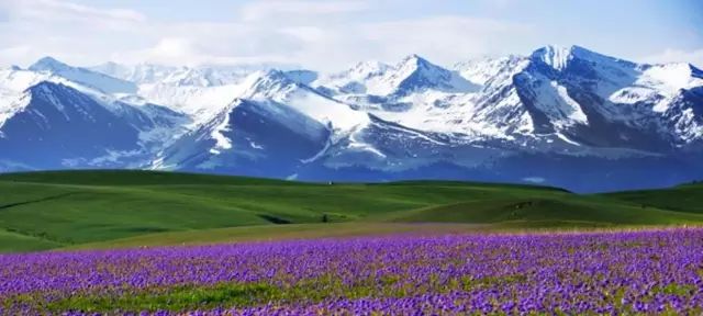 多元文化交融的边疆明珠——新疆