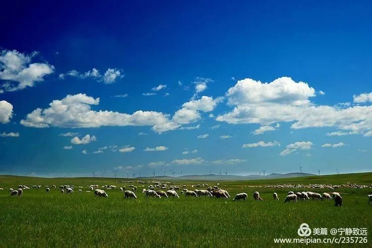 呼伦贝尔,探寻草原之韵的魅力之旅